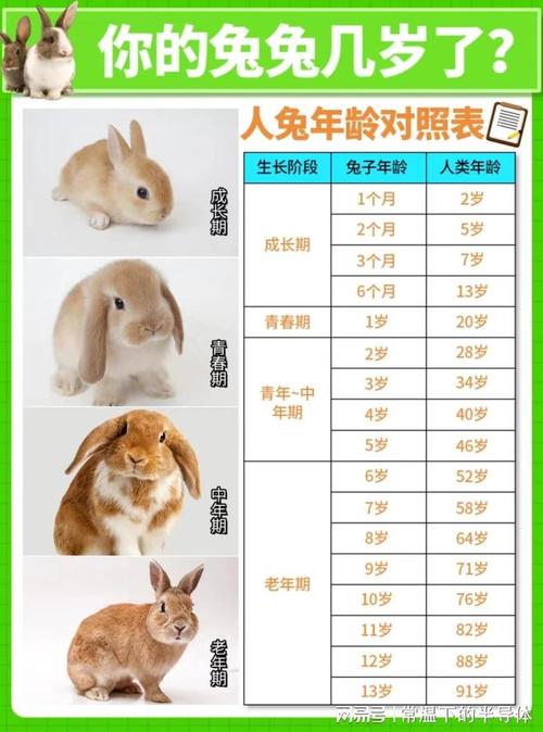 男朋友为什么老是吸我的小兔子?——你需要了解的 5 款产品
