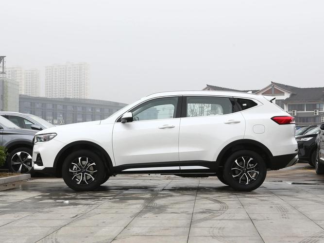 国产一级 SUV 国产毛卡,高性价比的家用车型
