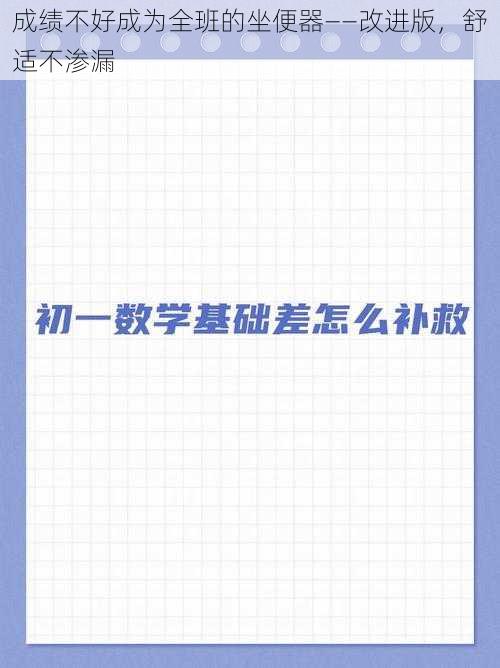 成绩不好成为全班的坐便器——改进版,舒适不渗漏