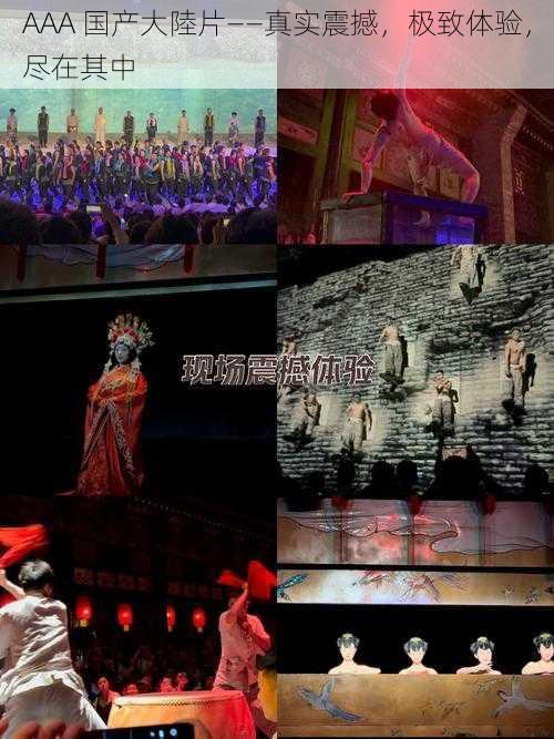 AAA 国产大陸片——真实震撼,极致体验,尽在其中