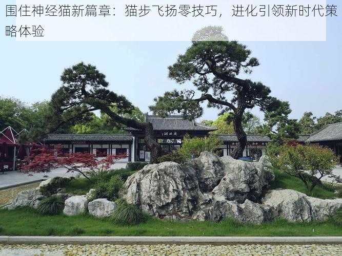 围住神经猫新篇章:猫步飞扬零技巧,进化引领新时代策略体验
