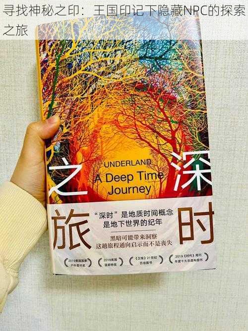 寻找神秘之印:王国印记下隐藏NPC的探索之旅