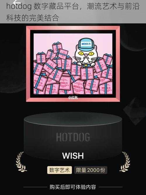 hotdog 数字藏品平台,潮流艺术与前沿科技的完美结合