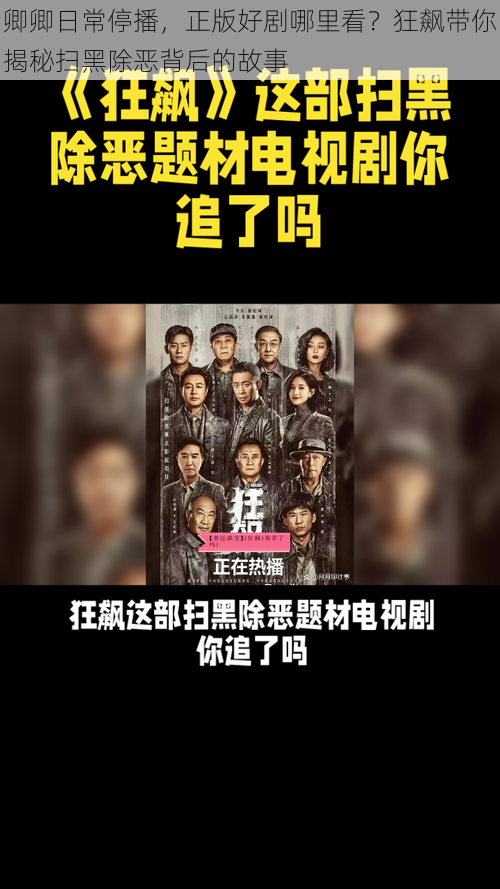 卿卿日常停播,正版好剧哪里看?狂飙带你揭秘扫黑除恶背后的故事